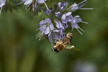 Similar image 22197389