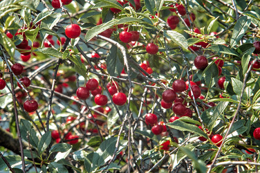 Similar image 22197391