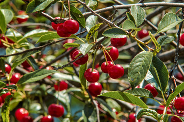 Similar image 22197393