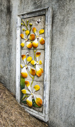 Similar image 22195753