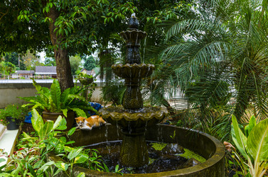 Similar image 22199698