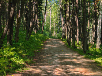 Similar image 22195055