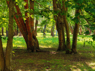 Similar image 22195477