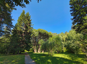 Similar image 22195056