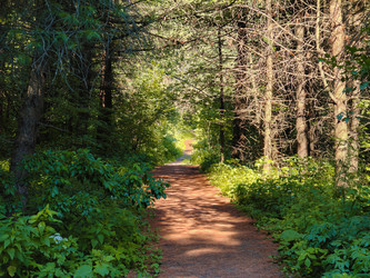 Similar image 22195478