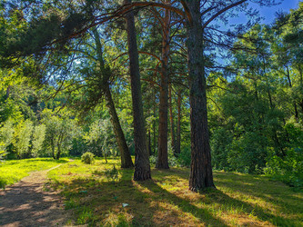 Similar image 22195425