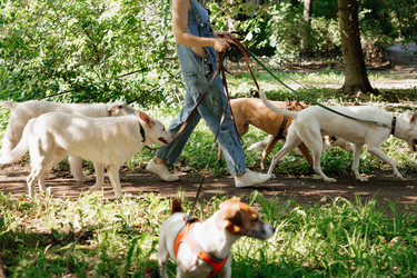 Similar image 22207697