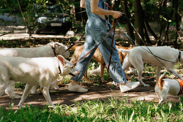 Similar image 22207699