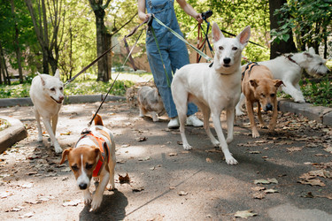 Similar image 22207700