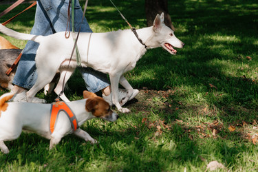 Similar image 22207701