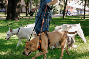 Similar image 22207702