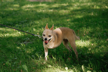 Similar image 22207703