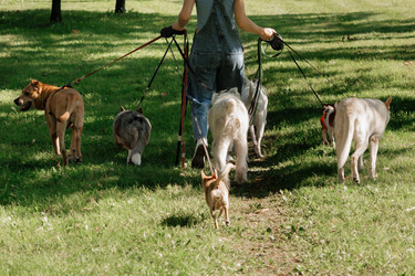 Similar image 22207704