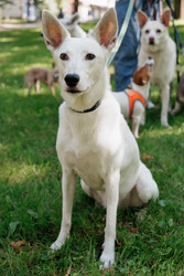 Similar image 22208012