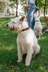 Similar image 22208014