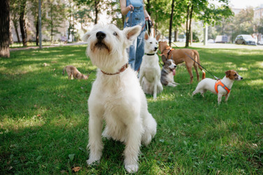 Similar image 22208016