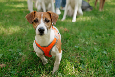 Similar image 22208017