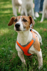 Similar image 22208018