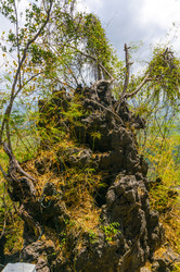 Similar image 22197609