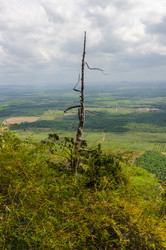 Similar image 22197610