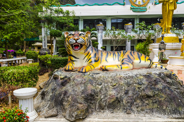 Similar image 22195949