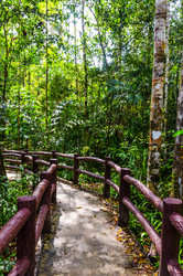 Similar image 22195967