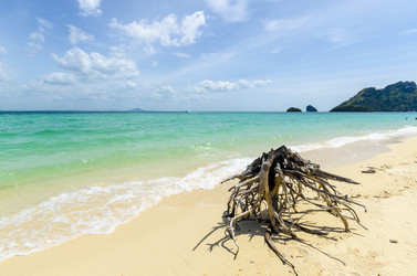 Similar image 22195970