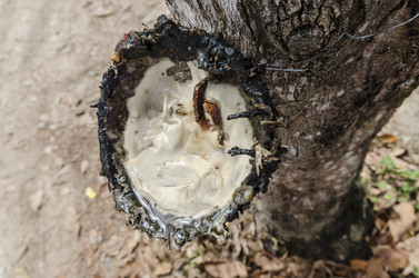 Similar image 22195971