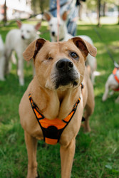 Similar image 22207708