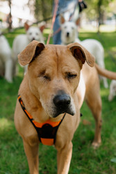 Similar image 22207709