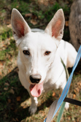 Similar image 22207710