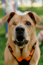 Similar image 22207891