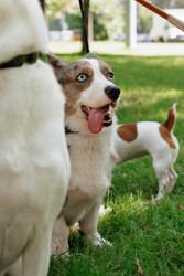 Similar image 22208022