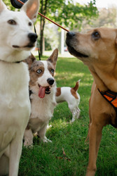 Similar image 22208024