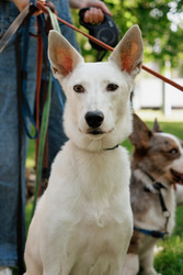 Similar image 22208026