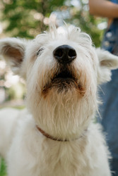 Similar image 22208028