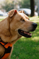 Similar image 22208032