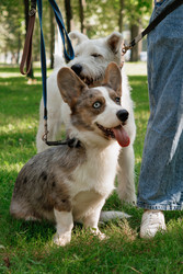 Similar image 22208034