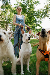 Similar image 22208036