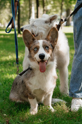 Similar image 22208038