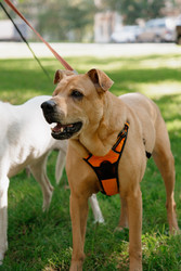 Similar image 22208040