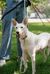 Similar image 22208042