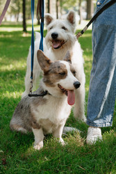 Similar image 22208044