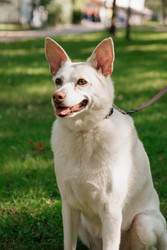 Similar image 22208046