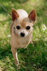 Similar image 22208048