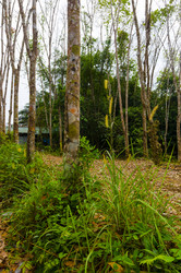 Similar image 22195972