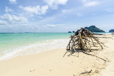 Similar image 22195973