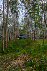 Similar image 22195974