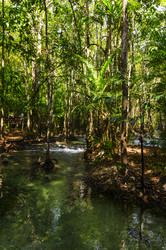 Similar image 22195976