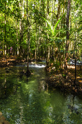 Similar image 22195977